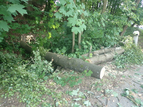 osikadratygarazOVProskovice (18).JPG