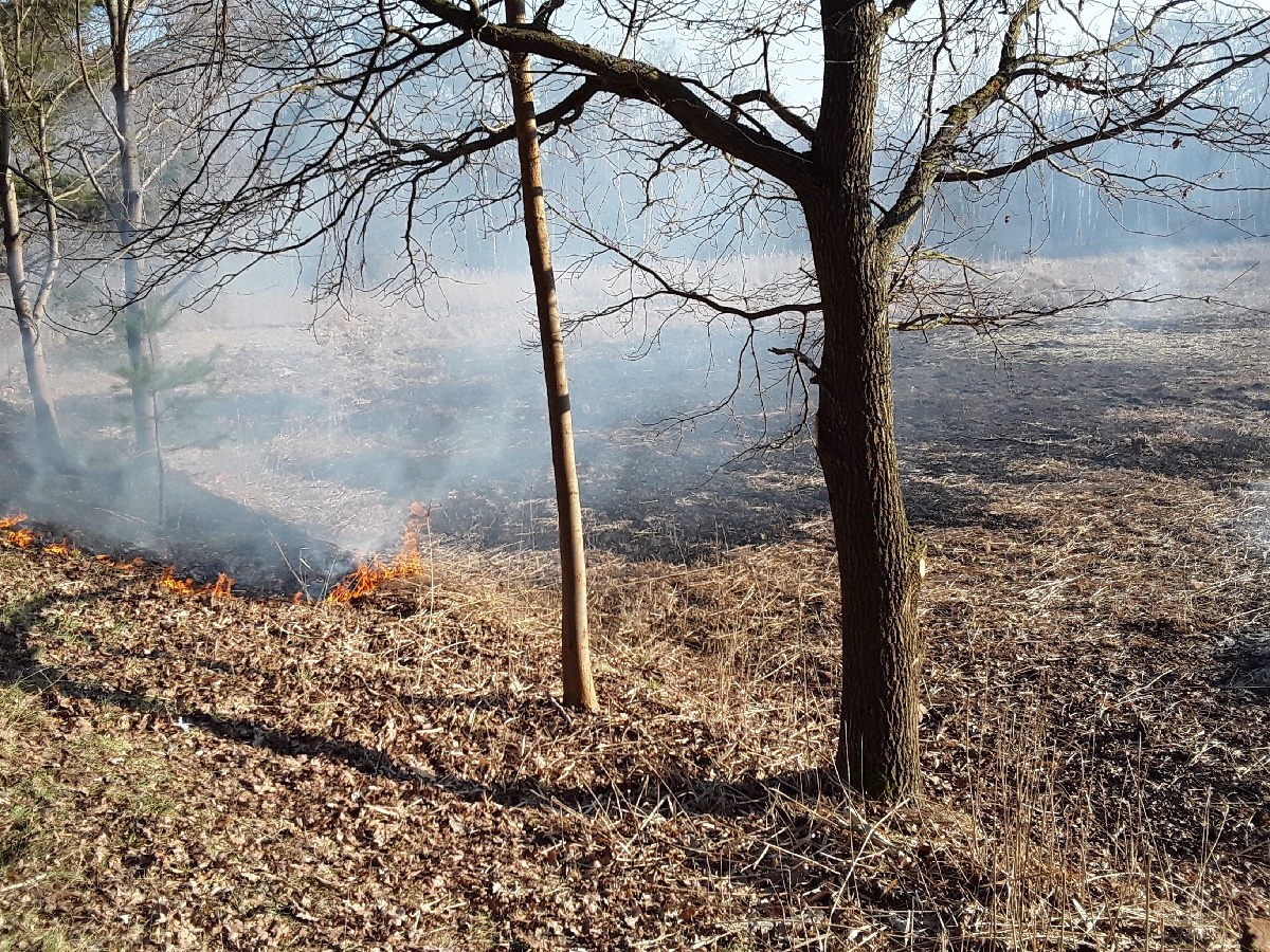 pálení Lázně Bohdaneč1.jpg