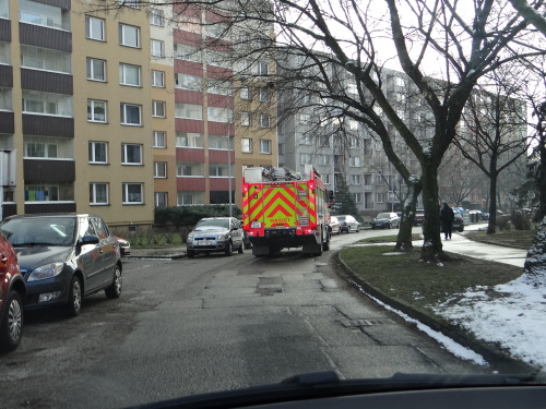 parkovanikontrolaOrlova (11).JPG