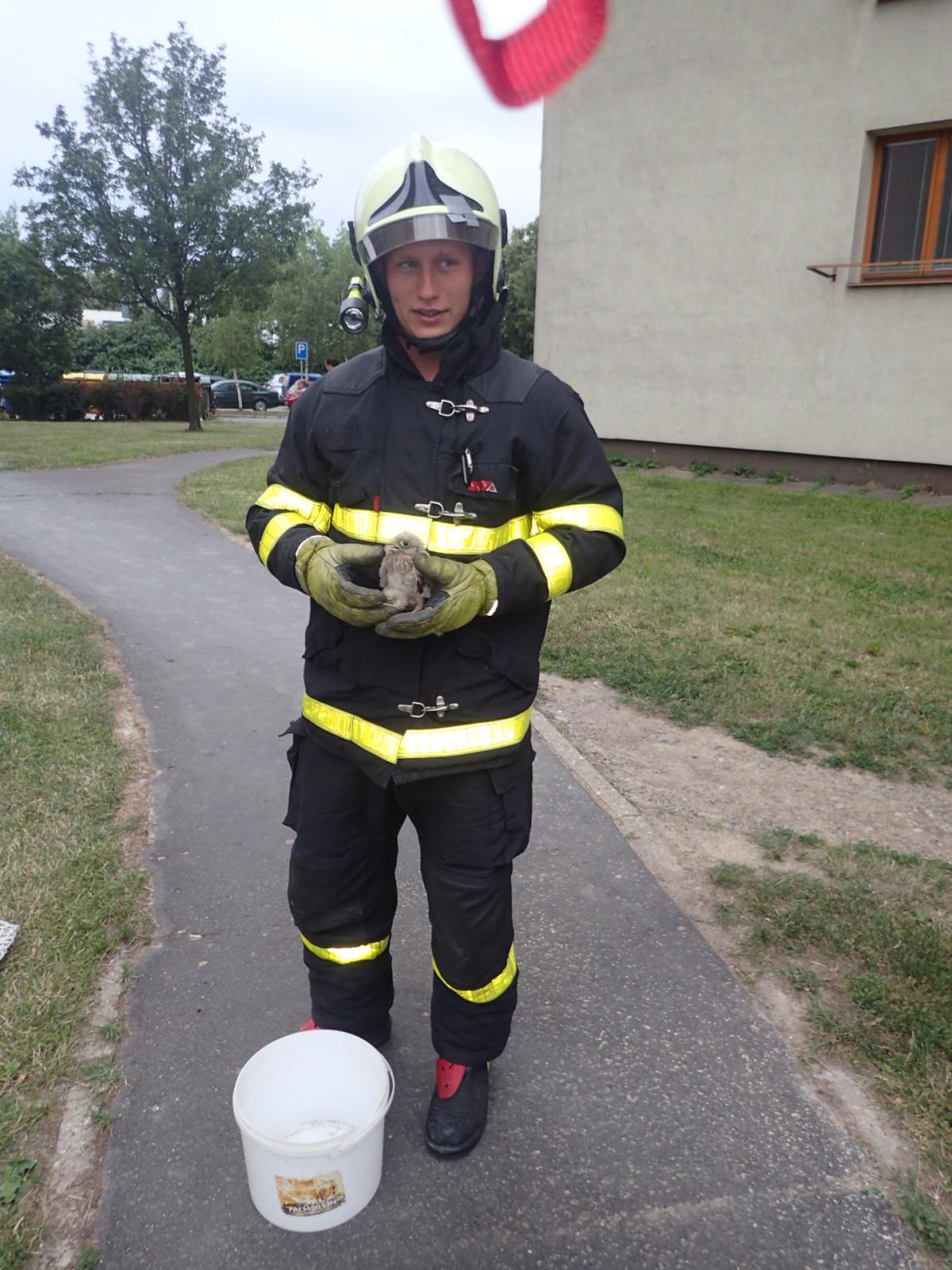 postolkastrechaOstrava (2).JPG