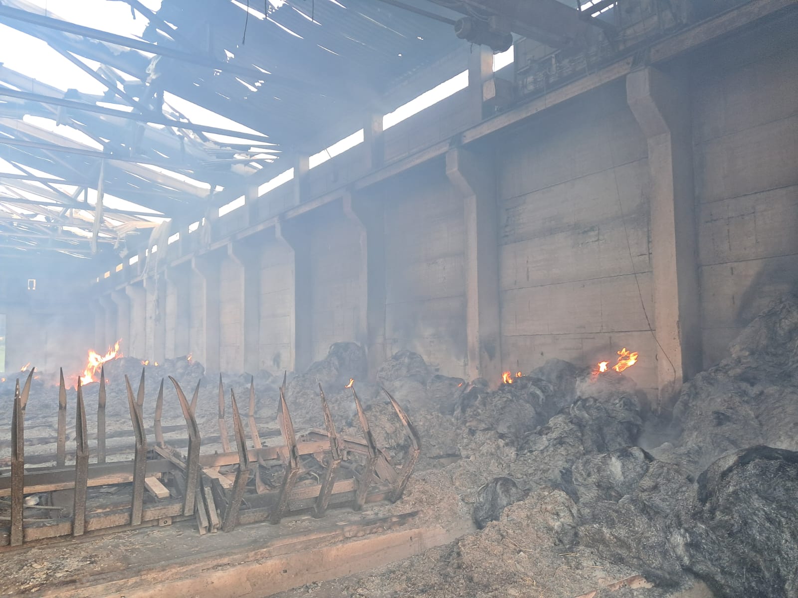 požár Červená Voda1.jpg