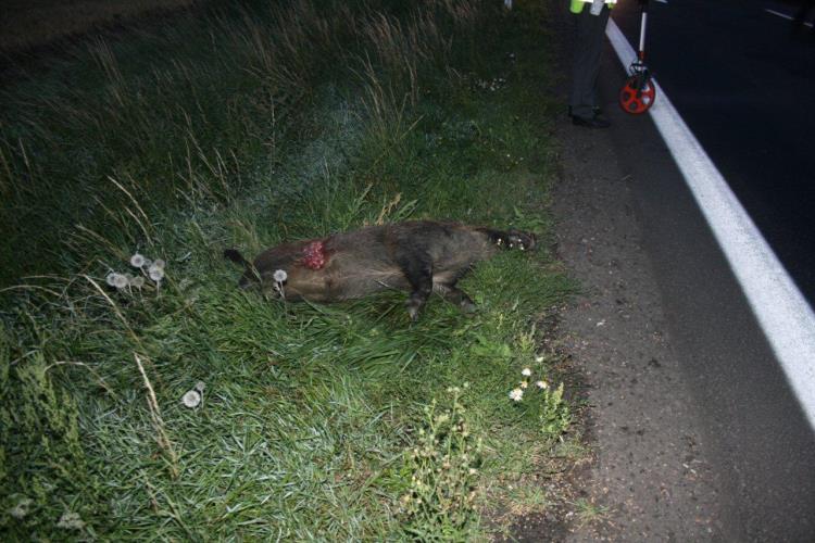 požár auta po srážce s kancem 2.jpg