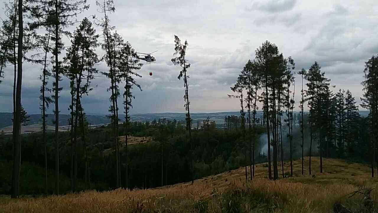 požár lesa (2).jpg