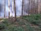 požár lesa Choceň