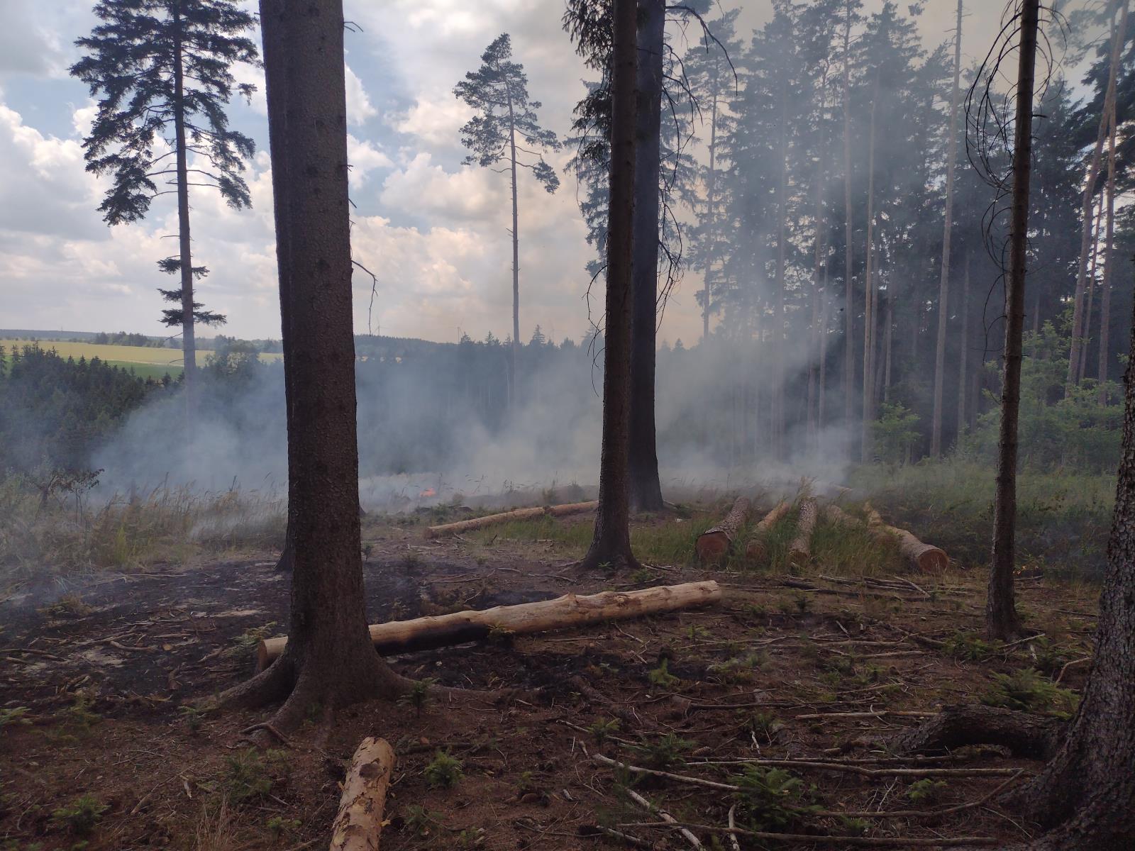 požár lesa Vendolí