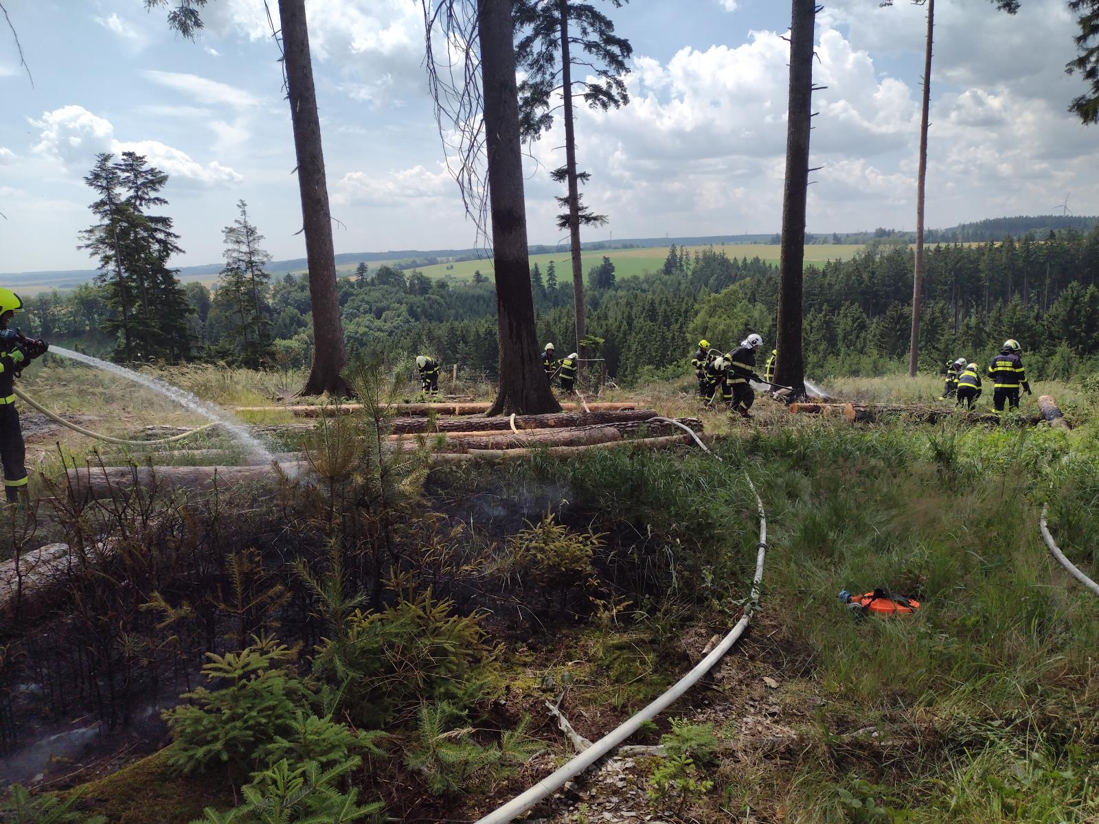 požár lesa Vendolí