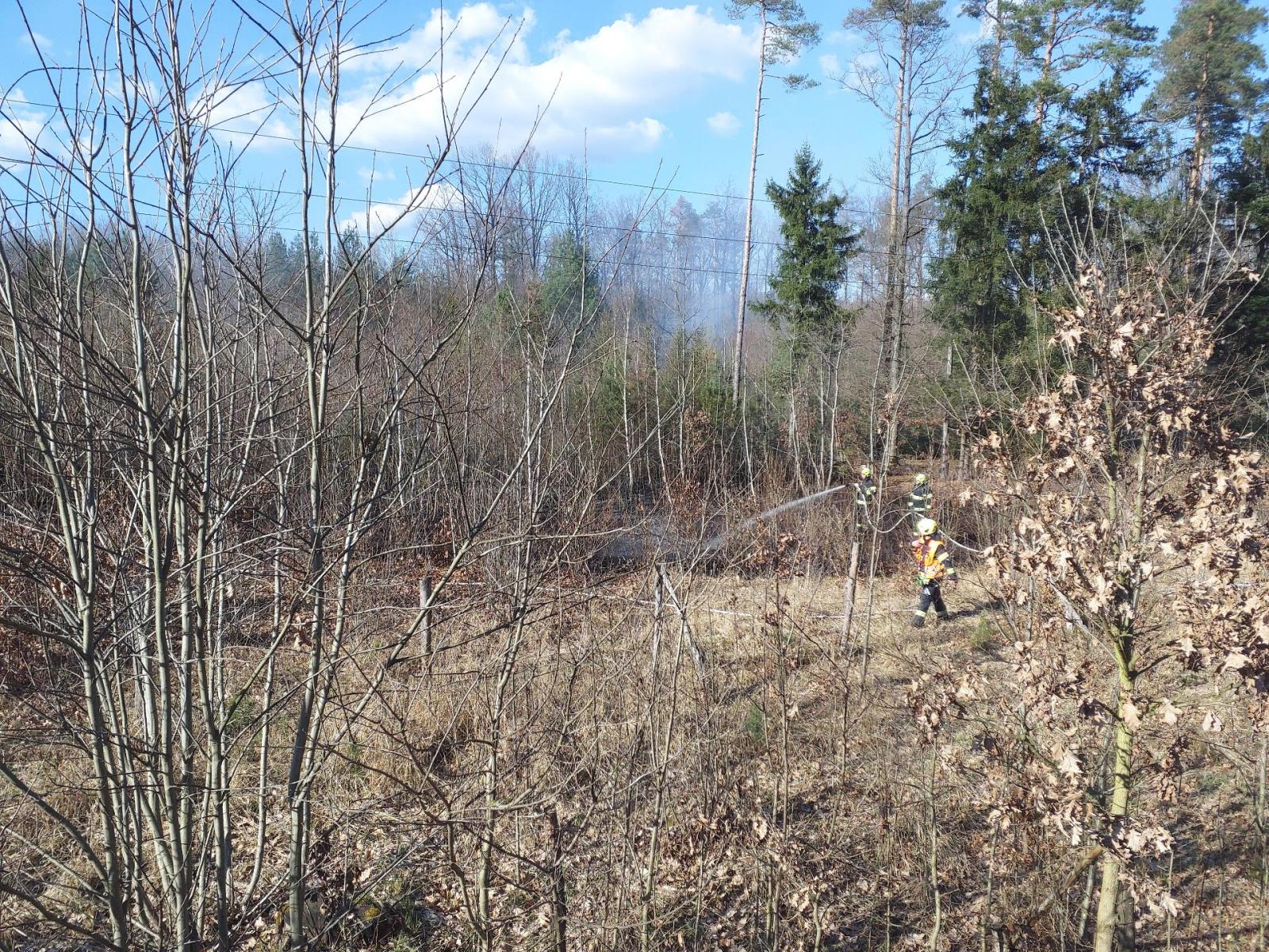 požár lesa u Dobříkova