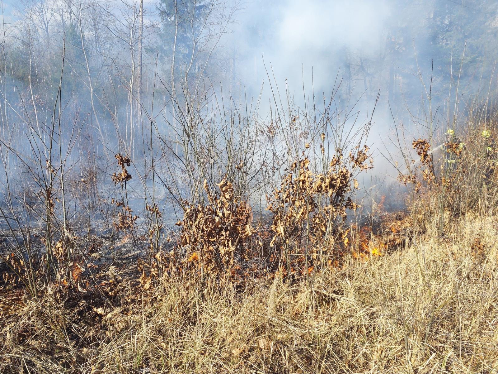 požár lesa u Dobříkova 4