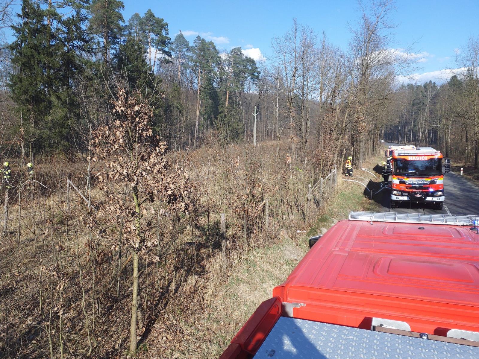 požár lesa u Dobříkova 5