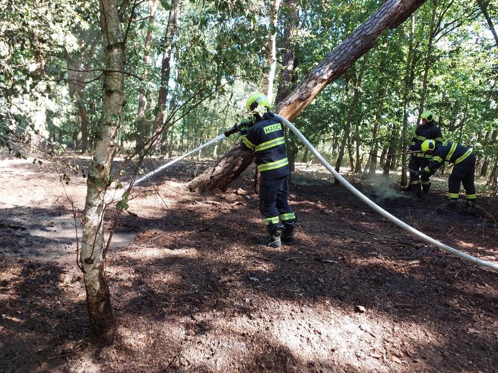 požár porostu Pce.jpeg