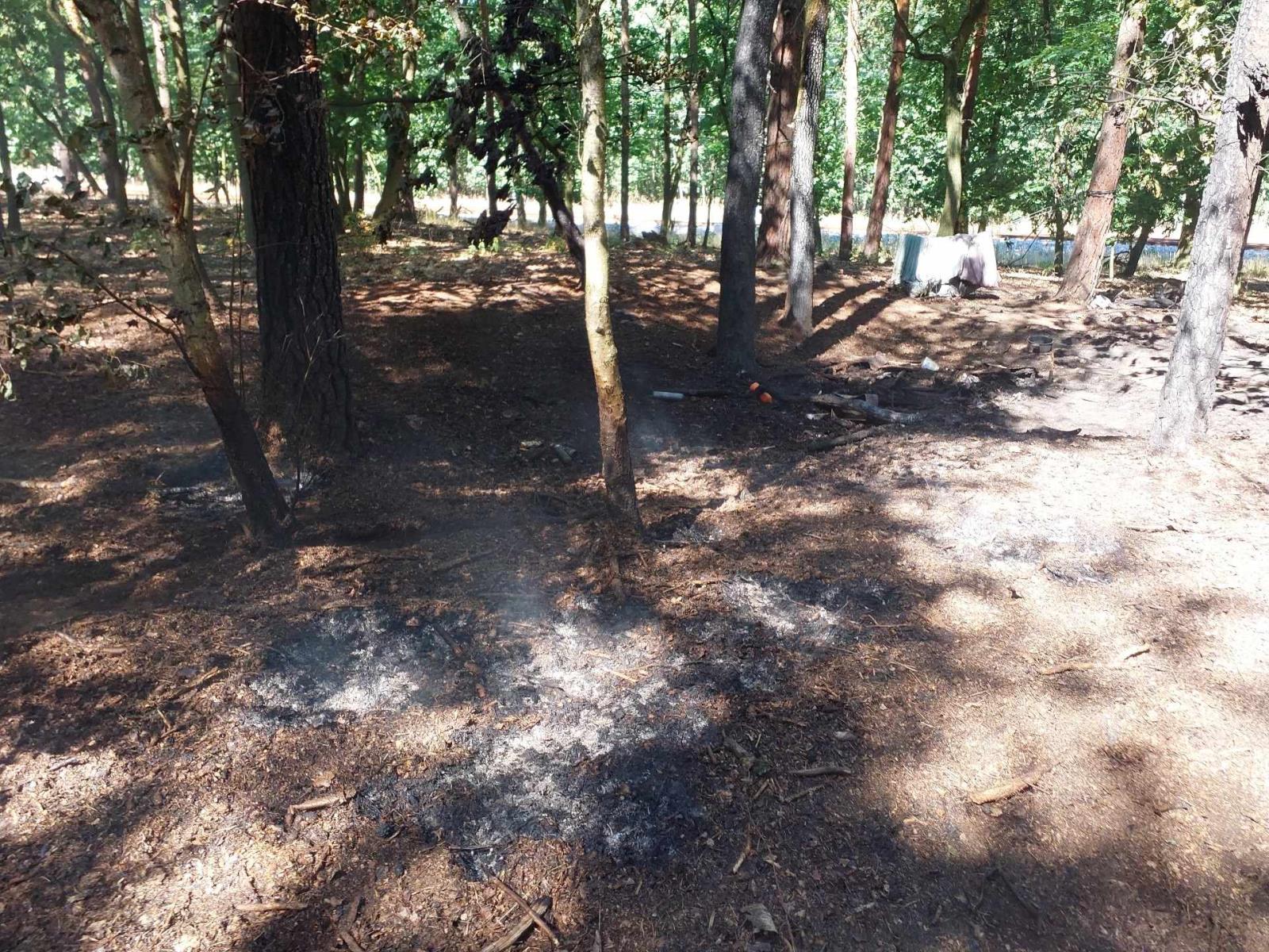 požár porostu Pce1.jpeg