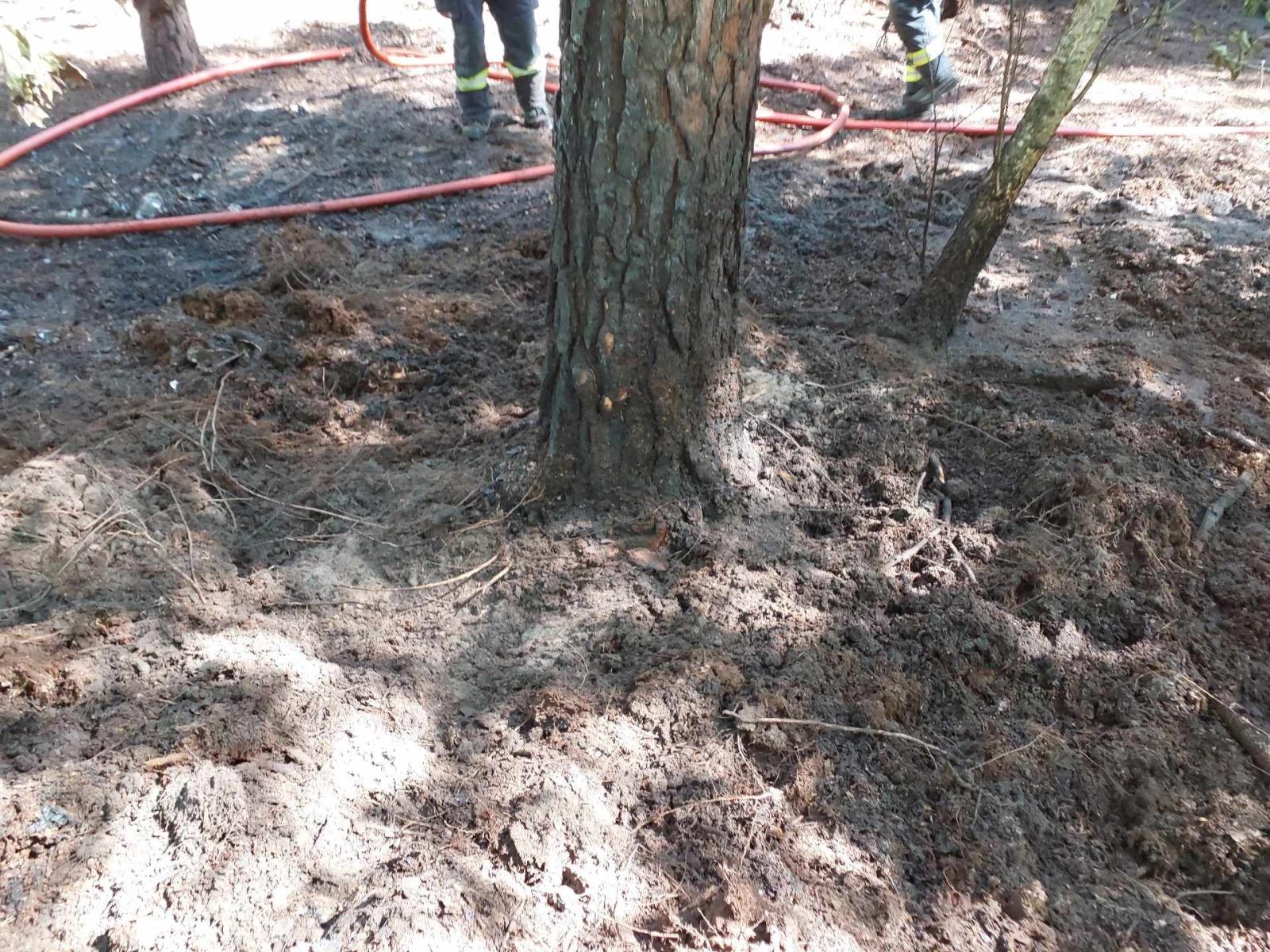 požár porostu Pce2.jpeg