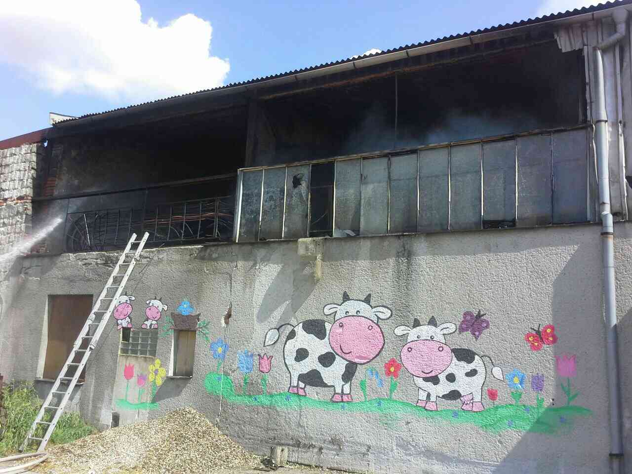 pozar skladovane slamy v hale Štětovice