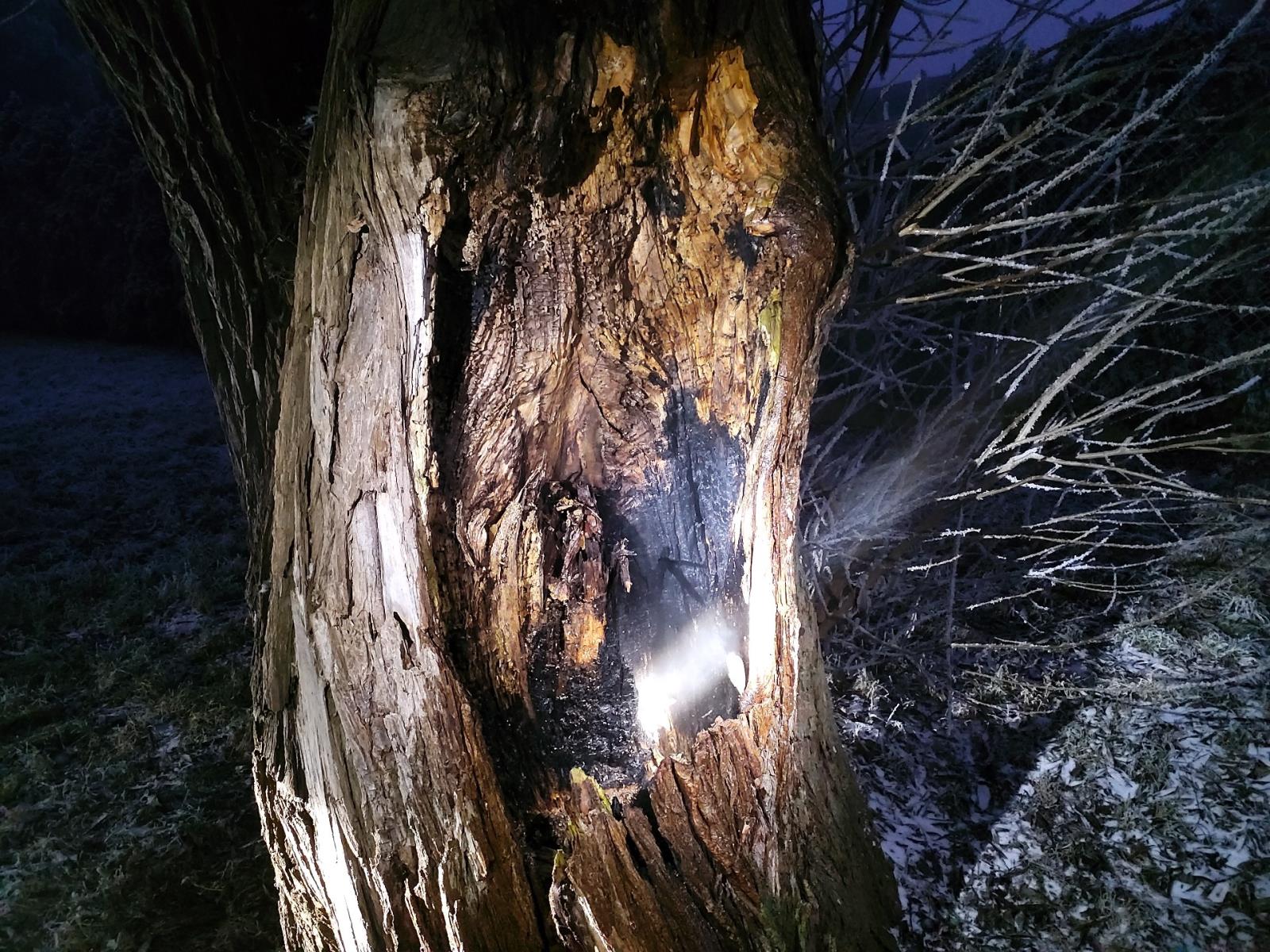 požár stromu Chrudim