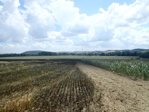 pozar15haCZPLhraniceKrnov (4).jpg