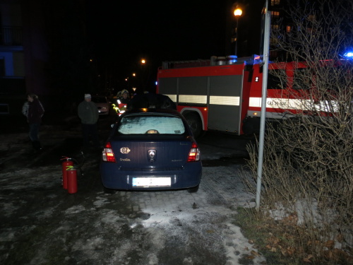 pozarThaliaTrinec (FM) (2).JPG