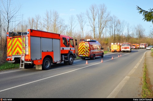 pozarhalda5haOVKuncicky (14).jpg