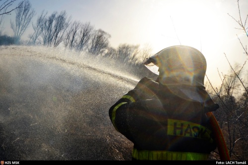 pozarhalda5haOVKuncicky (6).jpg