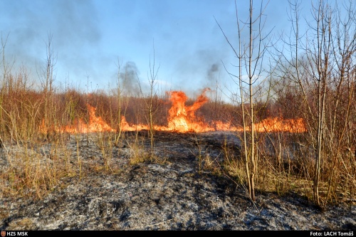 pozarhalda5haOVKuncicky (7).jpg