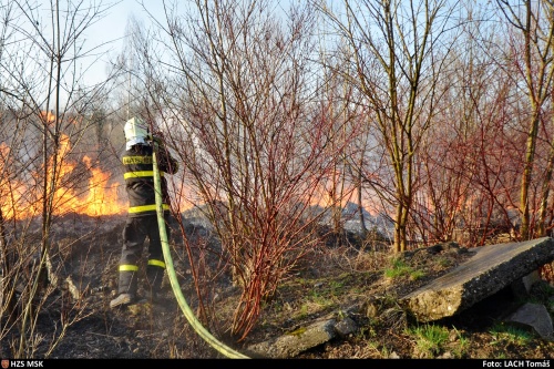 pozarhalda5haOVKuncicky (8).jpg