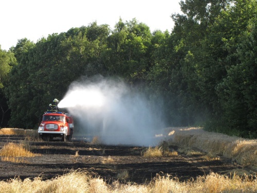 pozarjecmenStudenka (NJ) (5).jpg