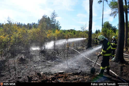 pozarles2xHat (OP) (12).JPG