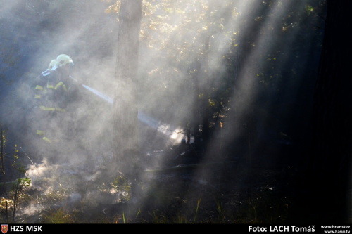 pozarles2xHat (OP) (17).JPG