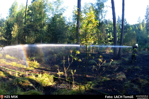 pozarles2xHat (OP) (20).JPG