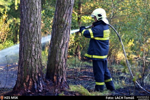 pozarles2xHat (OP) (21).JPG