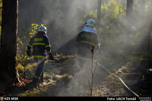 pozarles2xHat (OP) (22).JPG