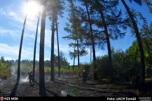 pozarles2xHat (OP) (4).JPG