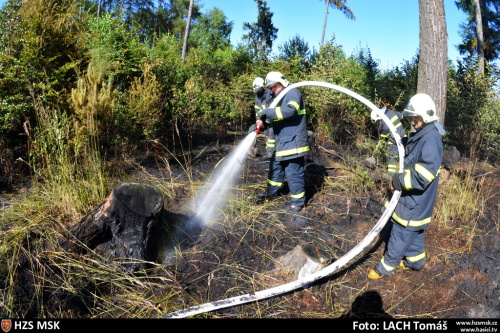 pozarles2xHat (OP) (6).JPG