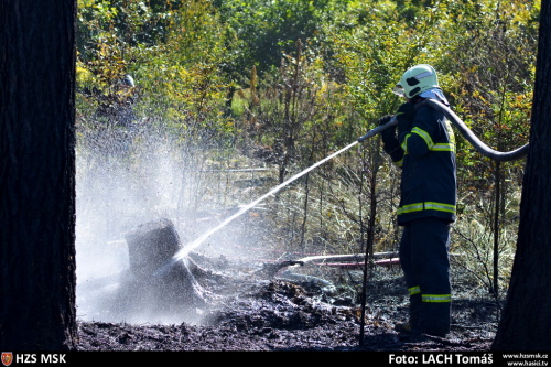 pozarles2xHat (OP) (7).JPG