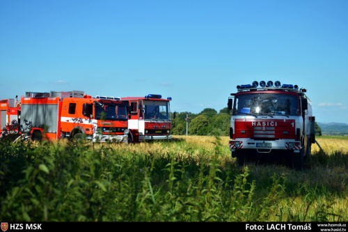 pozarles2xHat (OP) (8).JPG