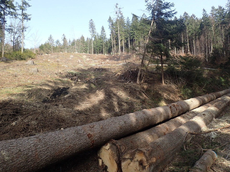 pozarlesNavsi (3).JPG