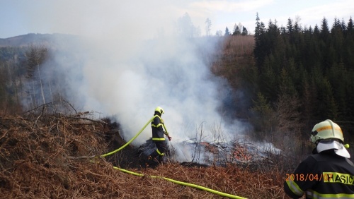 pozarlesNavsi (6).jpg