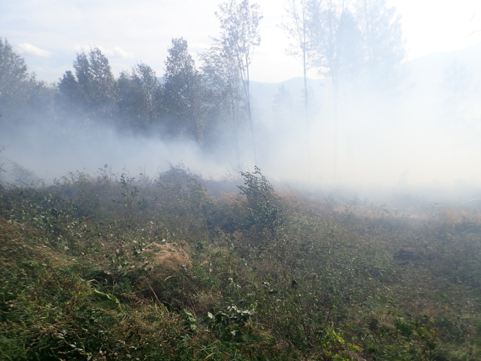 pozarlesOndrejnik_II (4).JPG