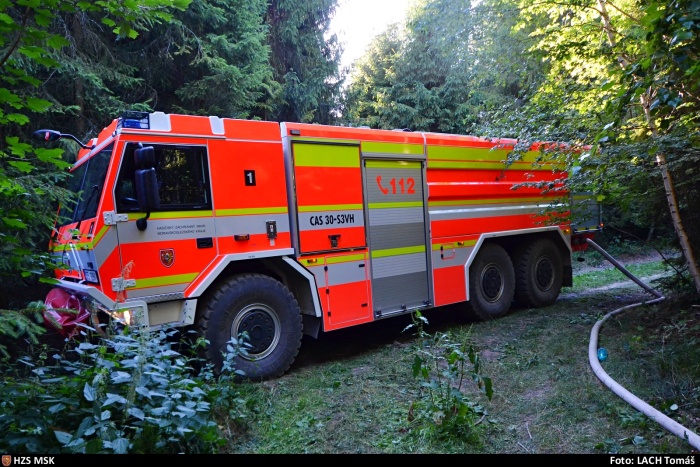 pozarlesSkripov_Lach (11).jpg