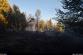 pozarlesSkripov_Lach (5)