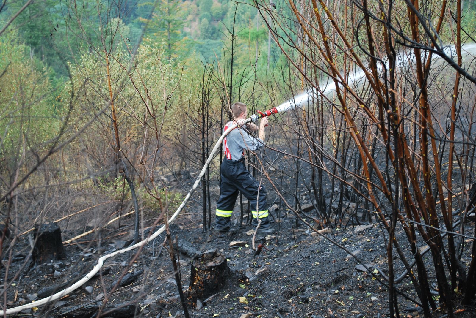 pozarlesSpalov/pozarlesSpalov (06).JPG