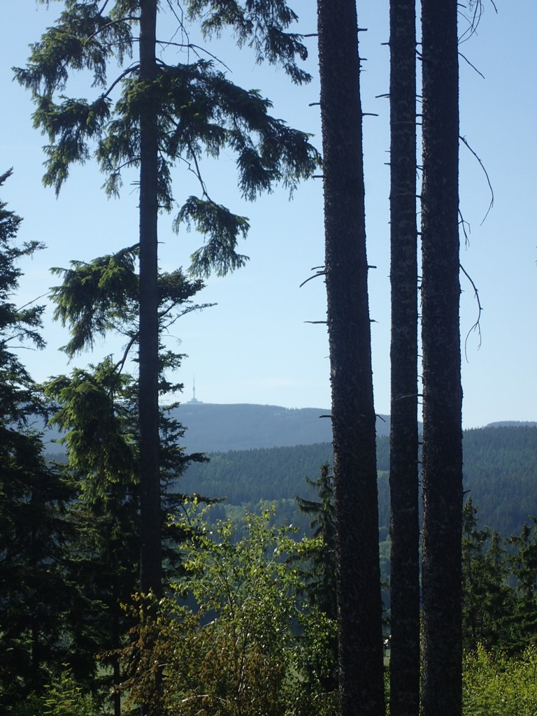 pozarlesStribrnykopec (8).JPG