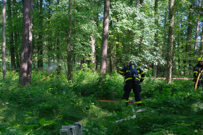 pozarlesmuniceKrmelin (5).JPG