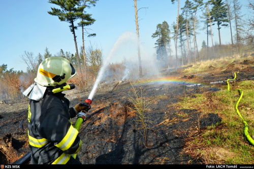 pozarlesskolkaVratimov (8).JPG