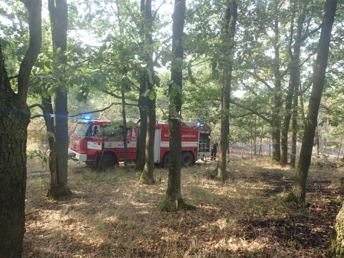 pozarlesstrnisteSlezskeRudoltice (16).JPG