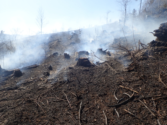 pozarlesvrtulnikZator (8).jpg