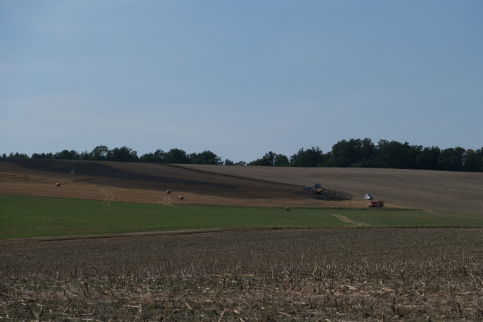 pozarlisstrnisteBilovec (1 NJ).JPG