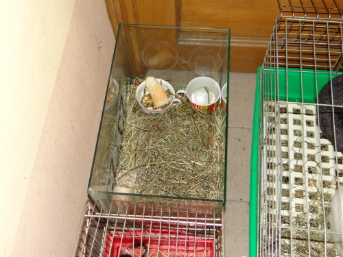 pozarnocnibytystrechyBruntal (23).JPG