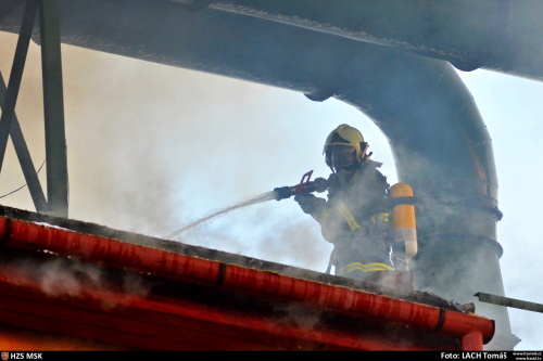 pozarpilaHlucin (OP)_Lach (18).JPG