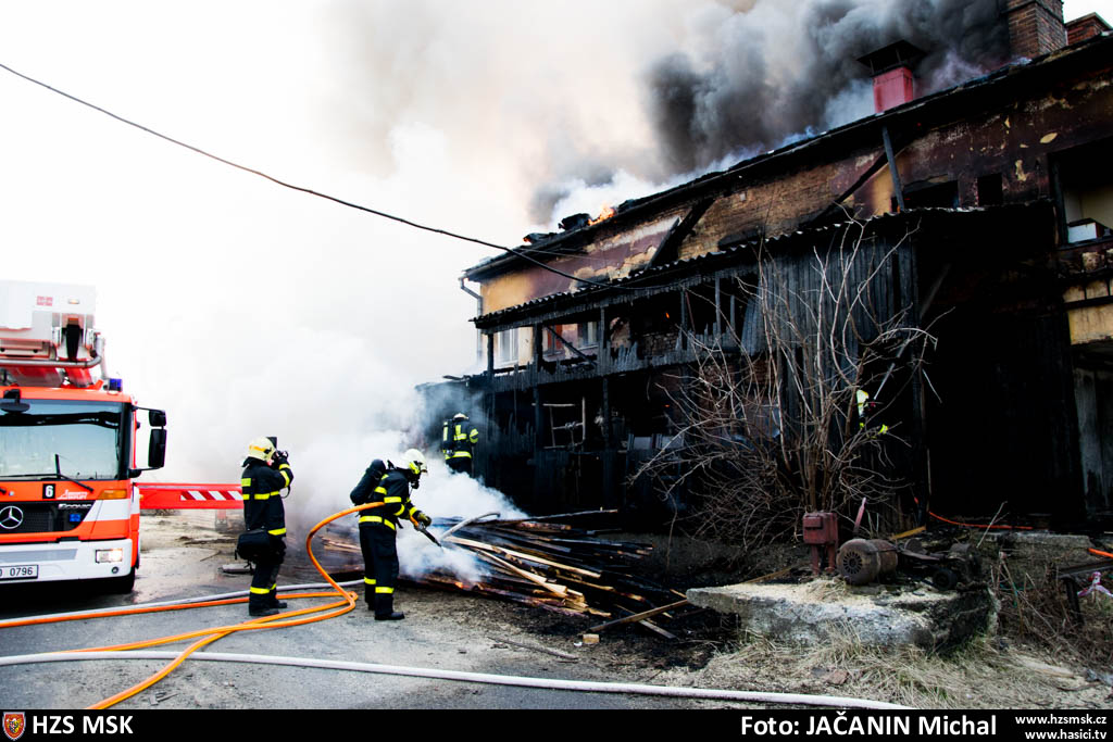 pozarpilaHlucin_Jacanin (11).jpg