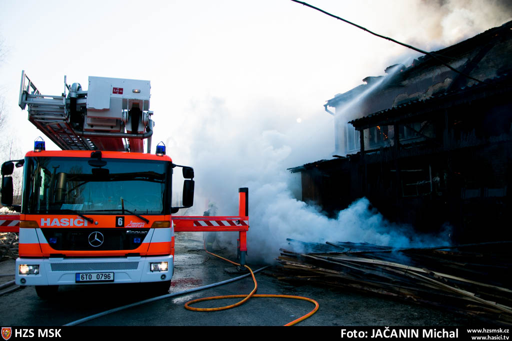 pozarpilaHlucin_Jacanin (13).jpg